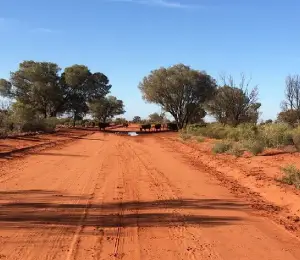 The picture shows a Australian outback